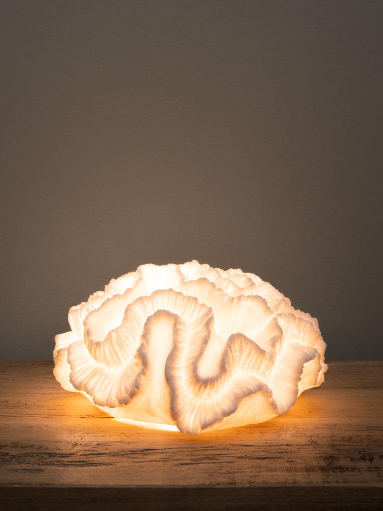 Table lamp Agaricial coral - 3