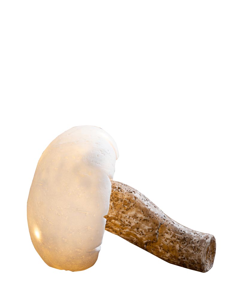 Lampe à poser champignon allongé & guirlande LED - 2