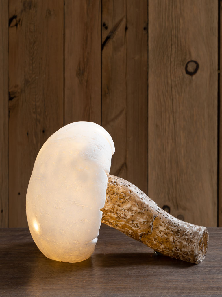 Lampe à poser champignon allongé & guirlande LED - 1