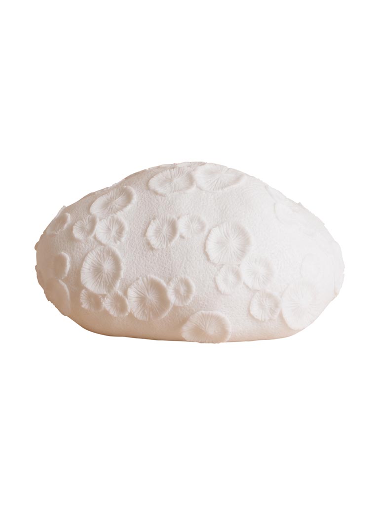 Table lamp fossilized coral - 2