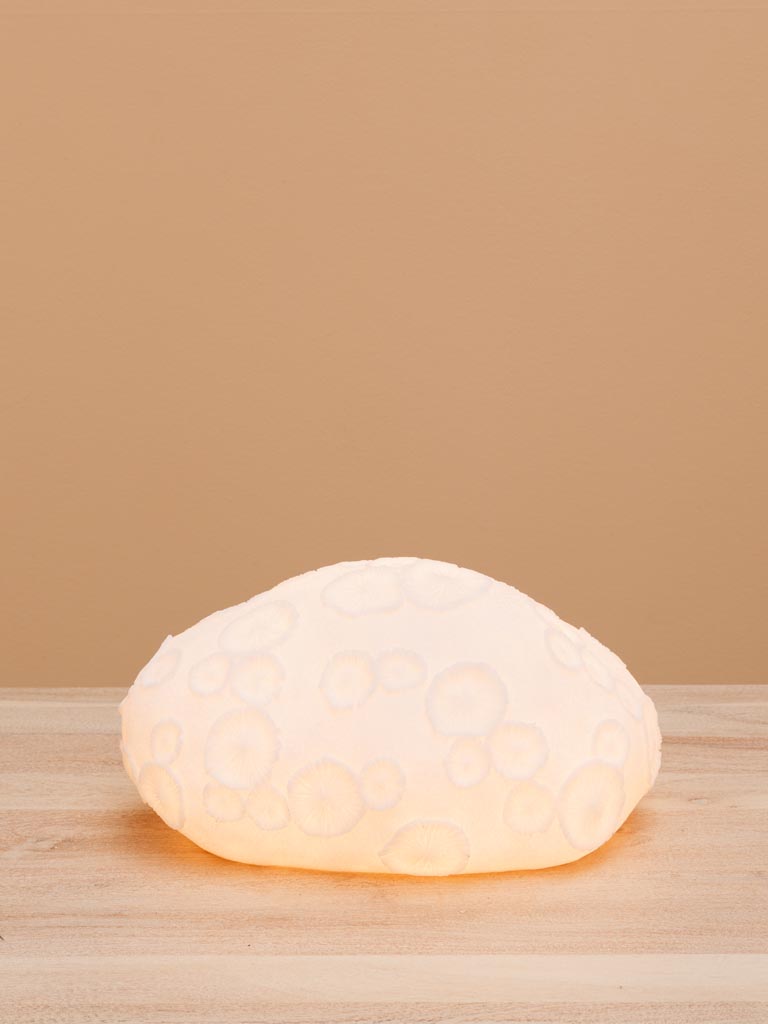 Table lamp fossilized coral - 3