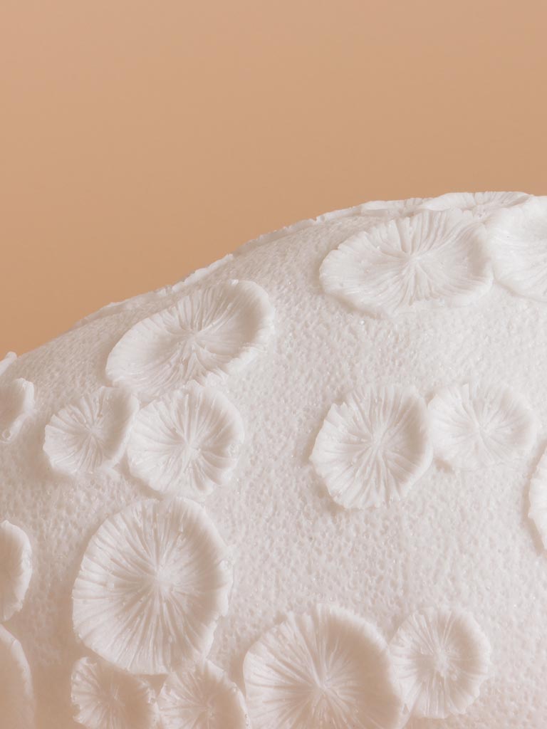 Table lamp fossilized coral - 4