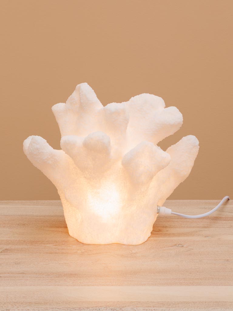 Table lamp coral elkhorn - 3