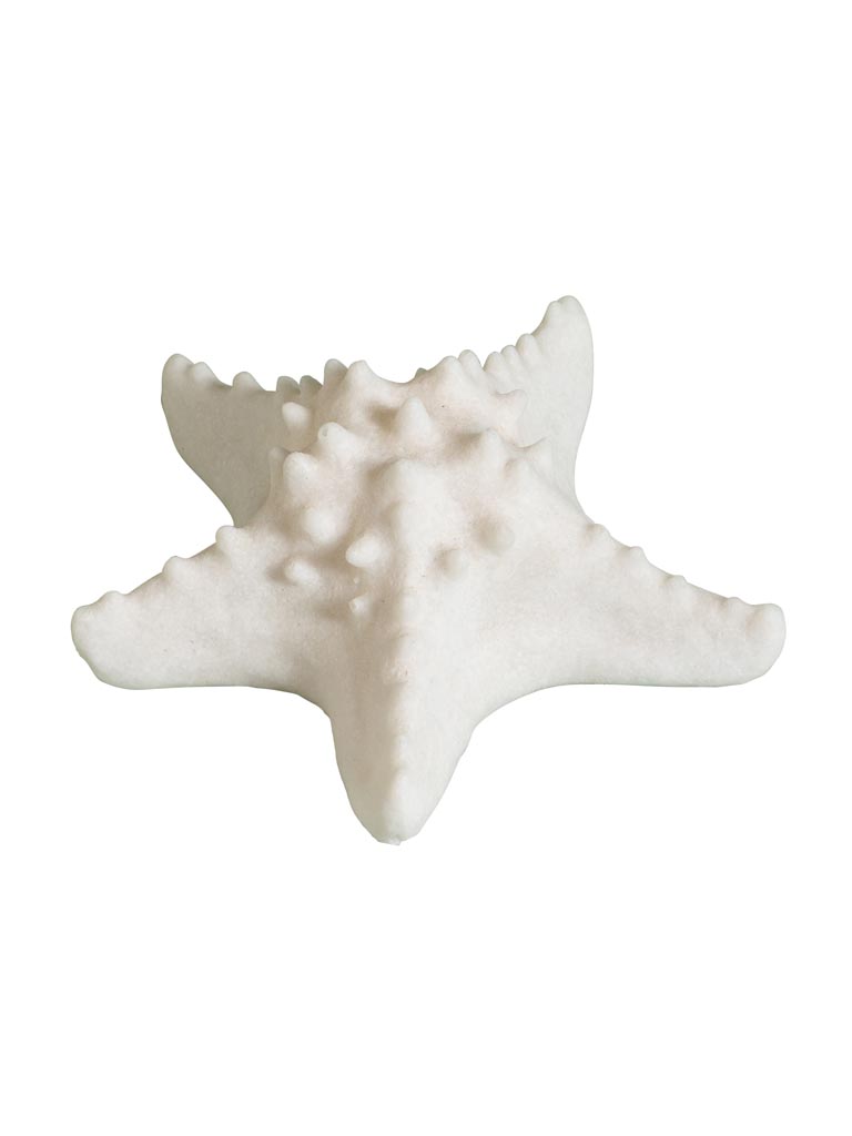 Lampe Etoile de mer sur piles - 2