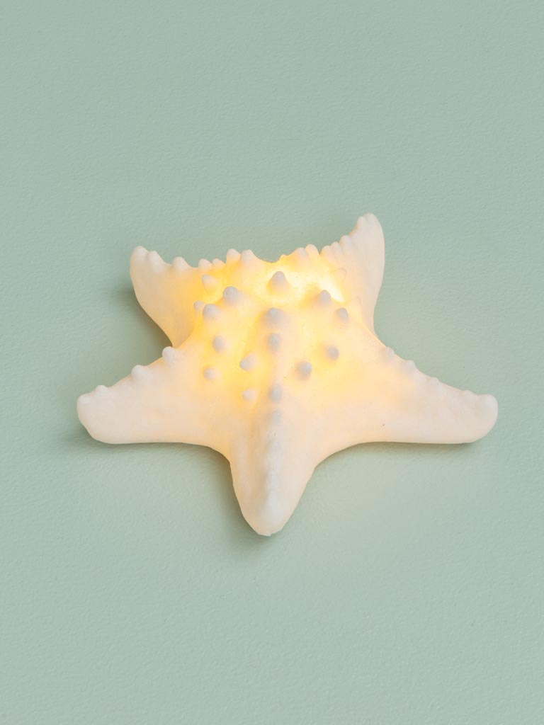 Lampe Etoile de mer sur piles - 4