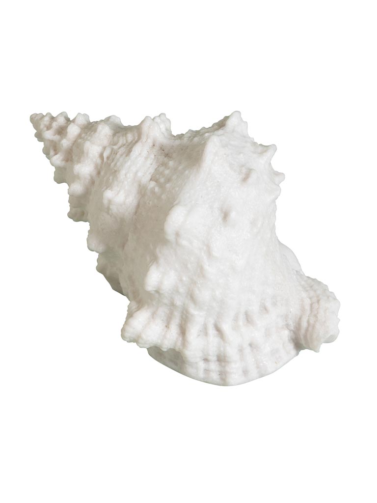 Lampe Coquillage sur piles - 2
