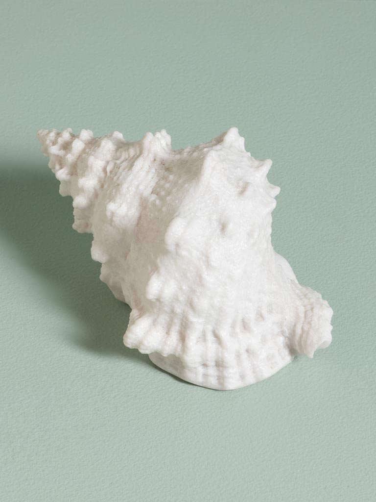 Lampe Coquillage sur piles - 1