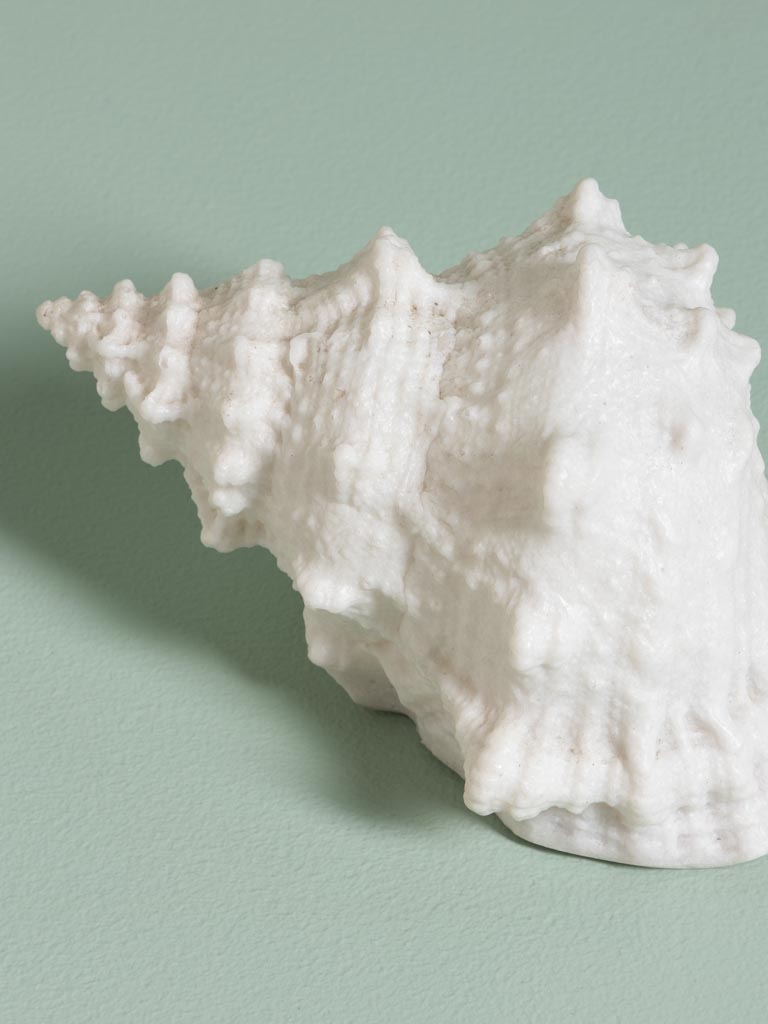 Lampe Coquillage sur piles - 3