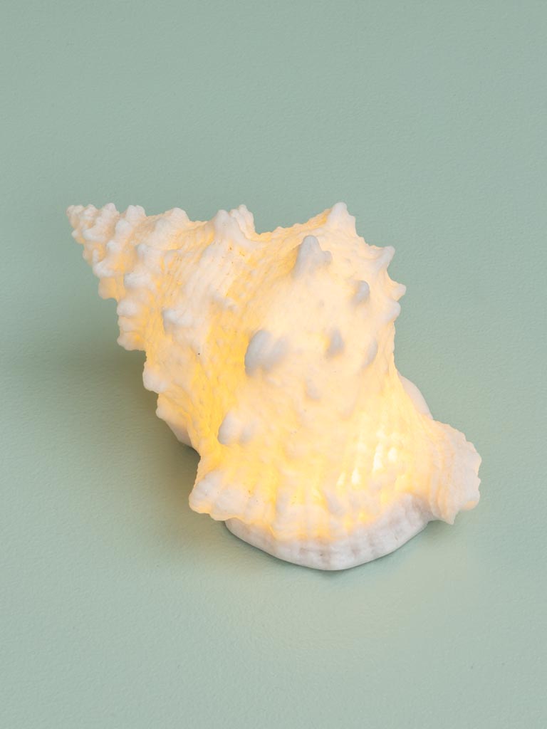 Lampe Coquillage sur piles - 5