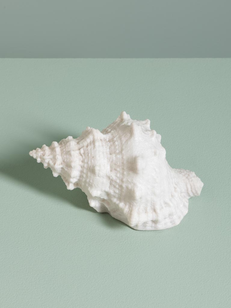 Lampe Coquillage sur piles - 4