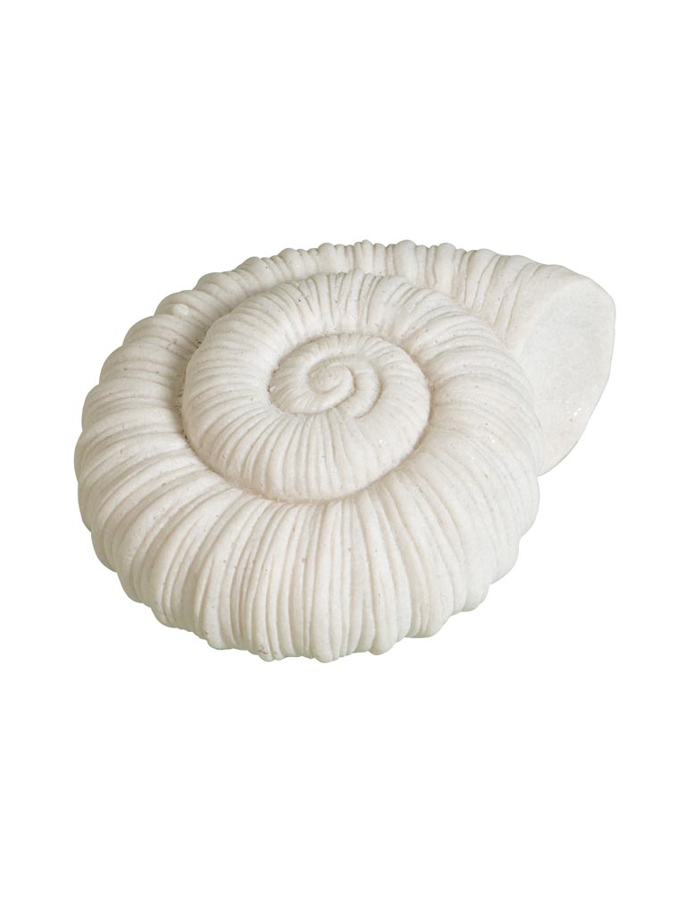 Lampe coquillage sur piles - 2