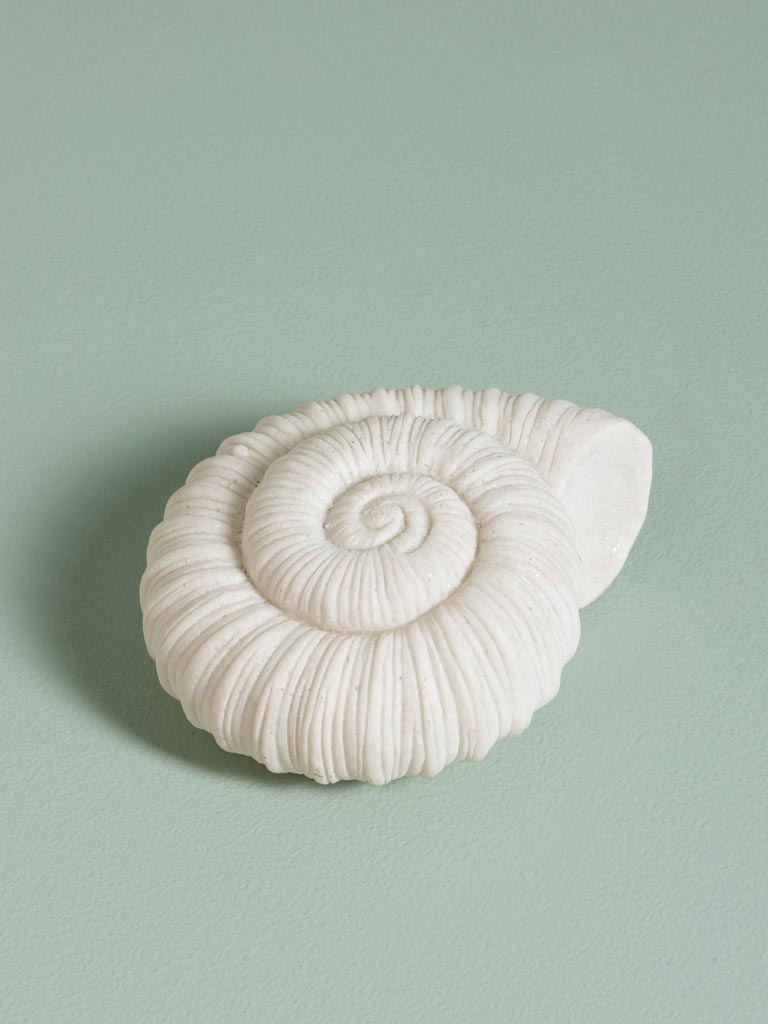 Lampe coquillage sur piles - 1