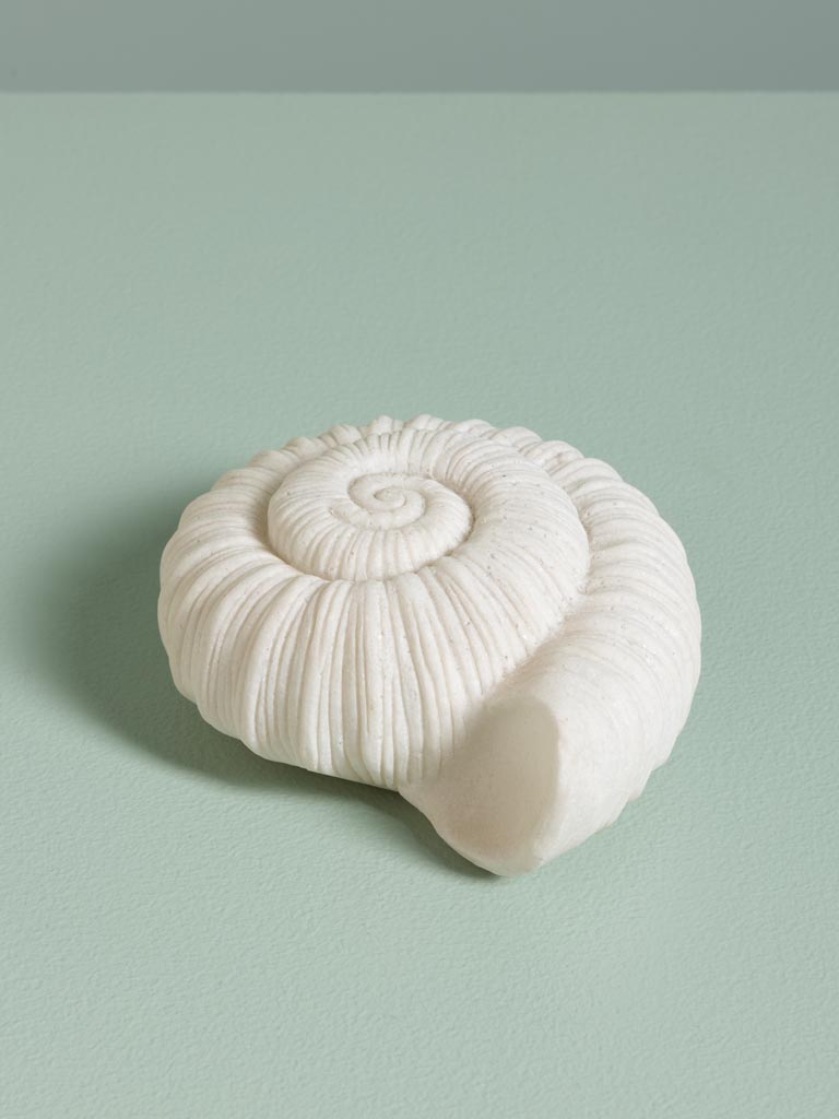 Lampe coquillage sur piles - 4