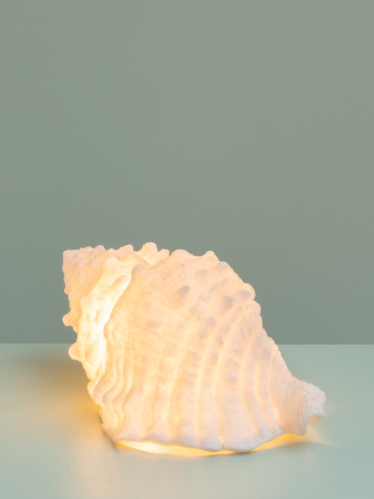 Lampe à poser coquillage - 3