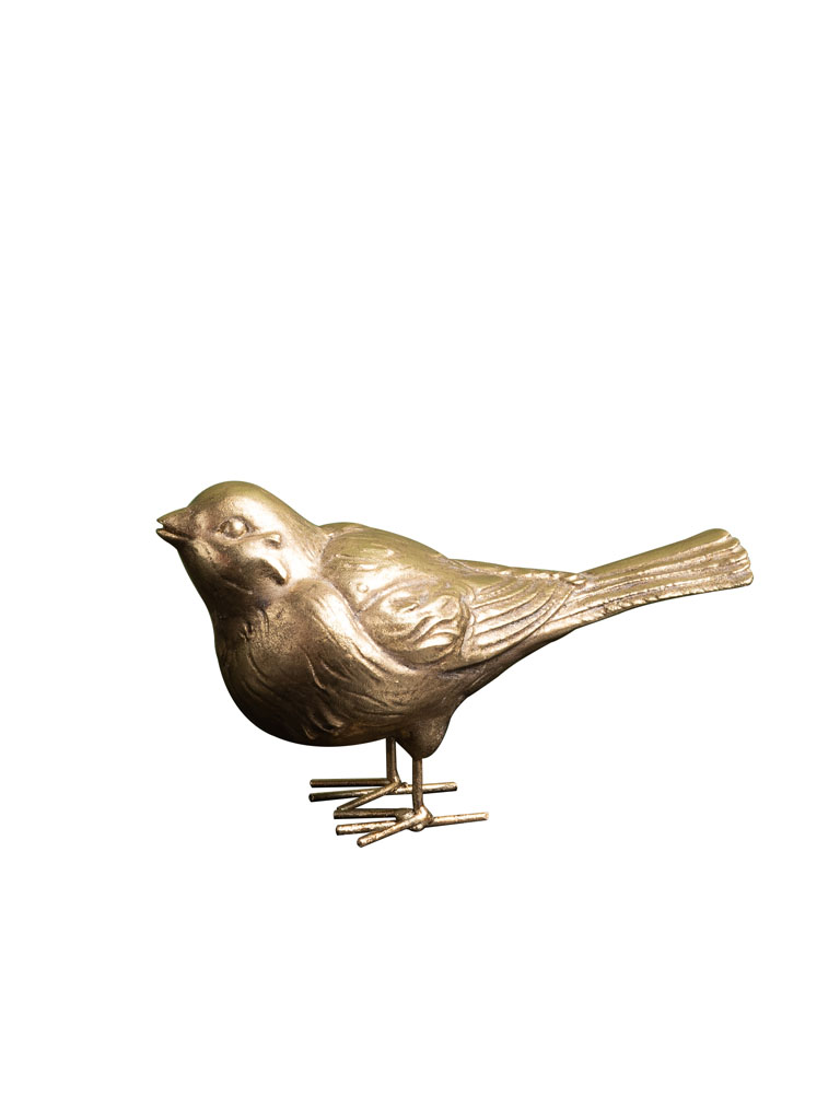 Golden bird head up - 2