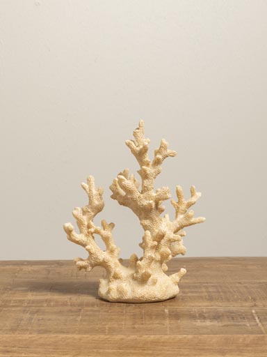 White coral