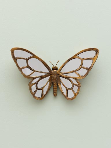 Papillon en miroirs