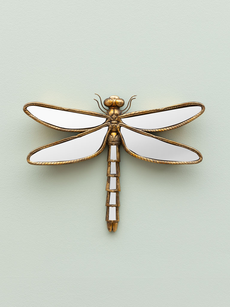 Mirrored dragonfly - 1