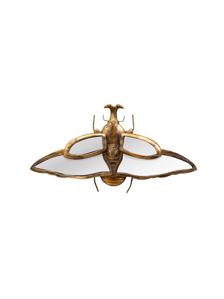 Mirrored rhinoceros beetle - 2