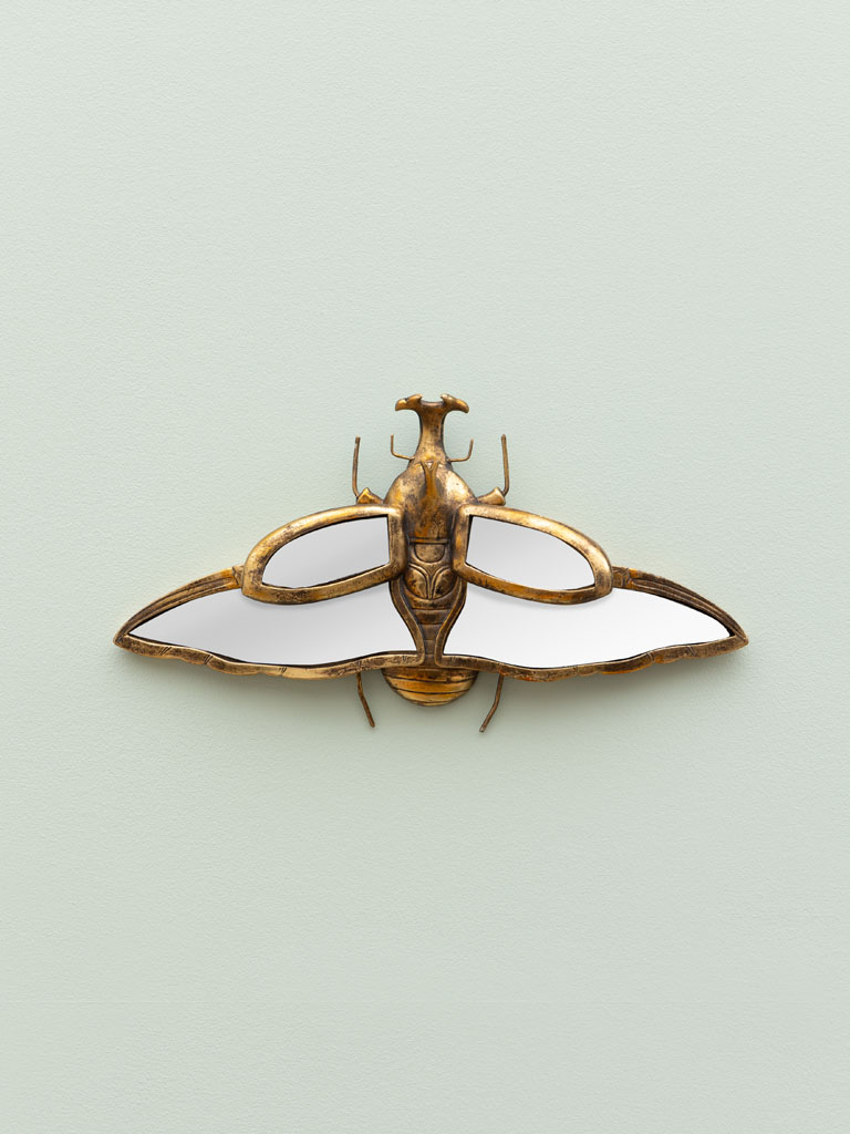 Mirrored rhinoceros beetle - 1