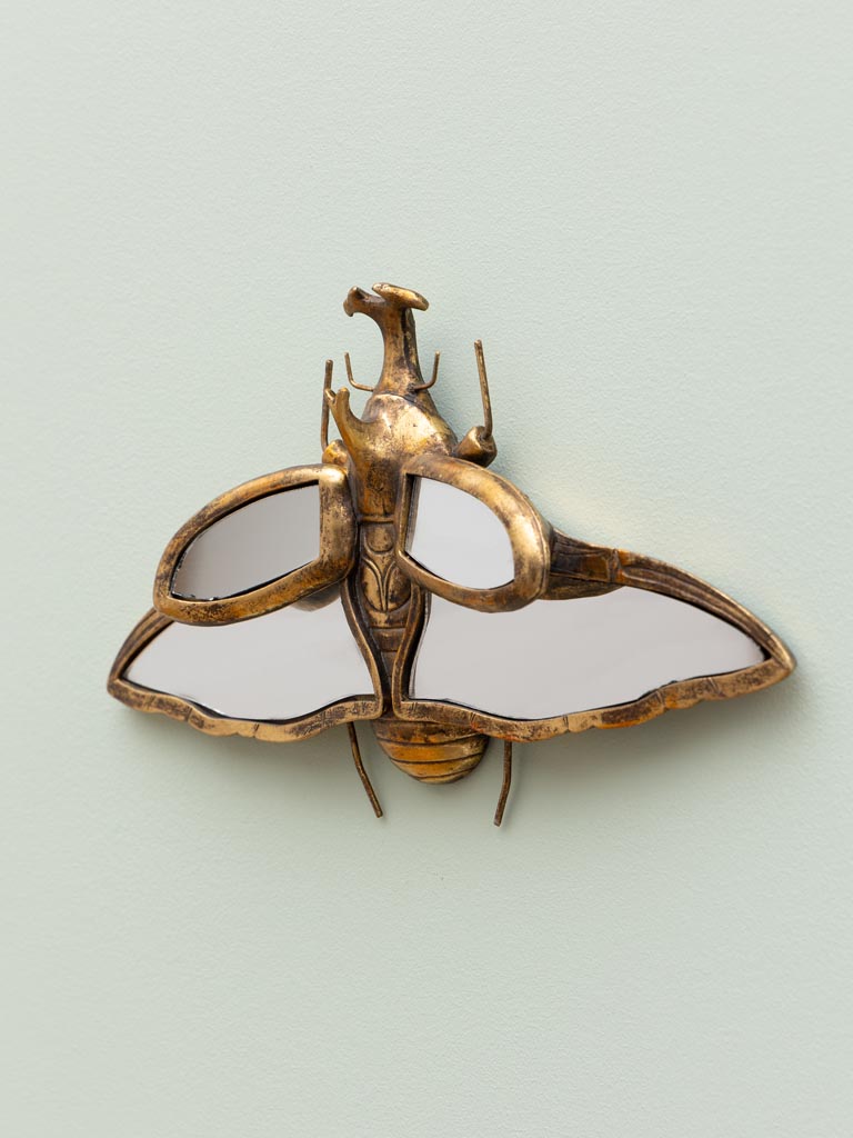 Mirrored rhinoceros beetle - 3