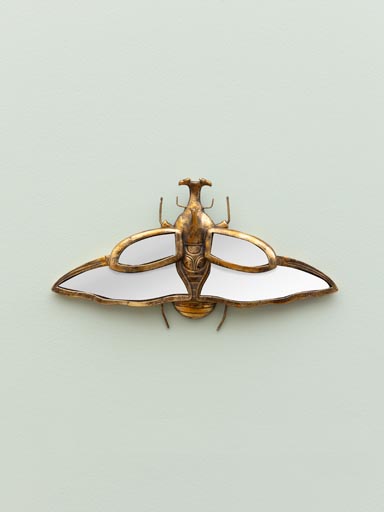Mirrored rhinoceros beetle