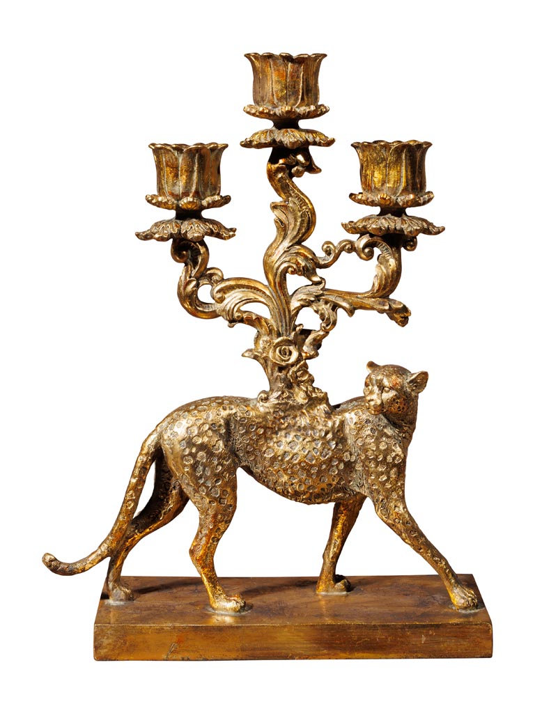 Candelarum golden cheetah - 2