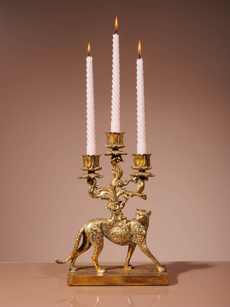 Candelarum golden cheetah - 1