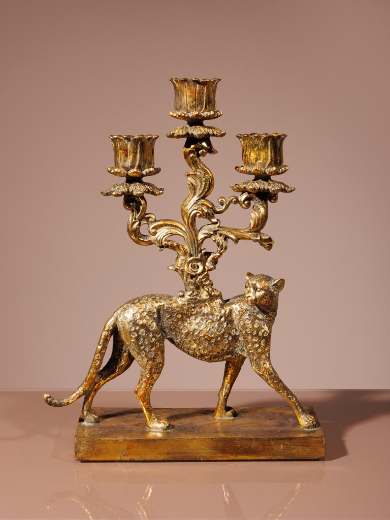 Candelarum golden cheetah - 3