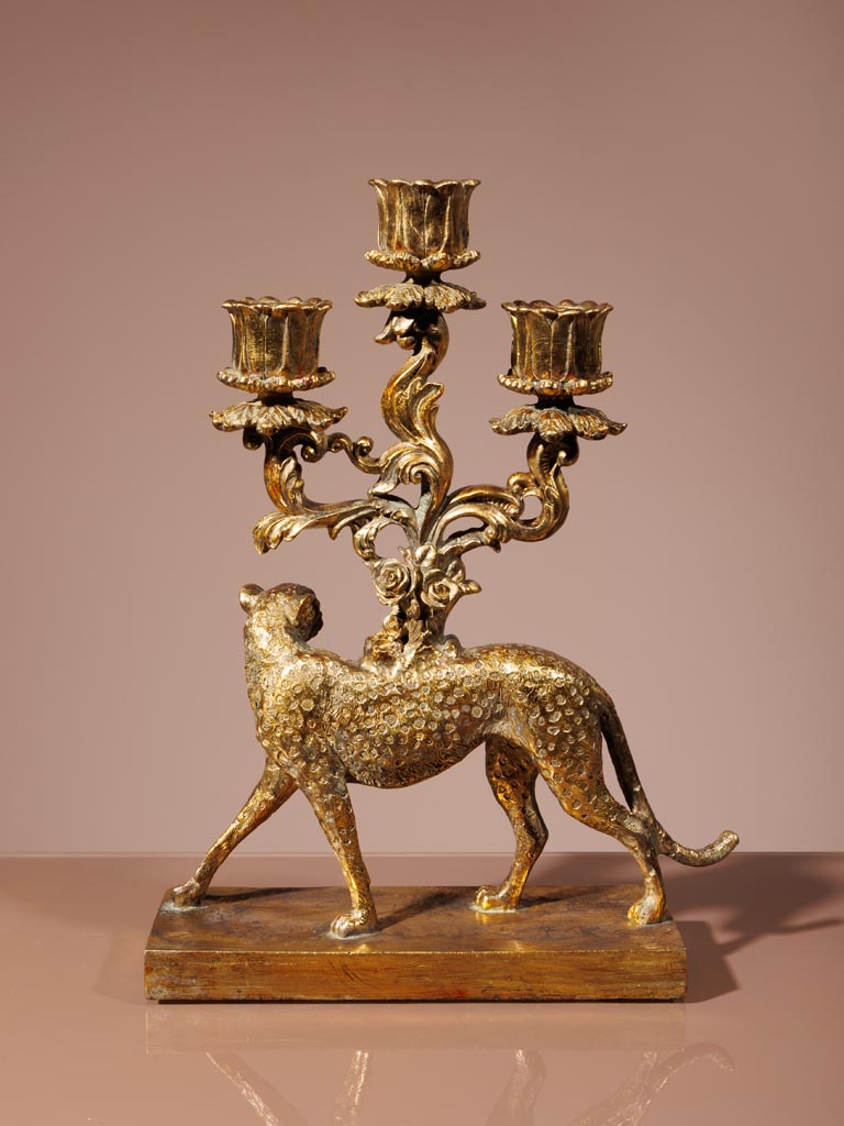 Candelarum golden cheetah - 5