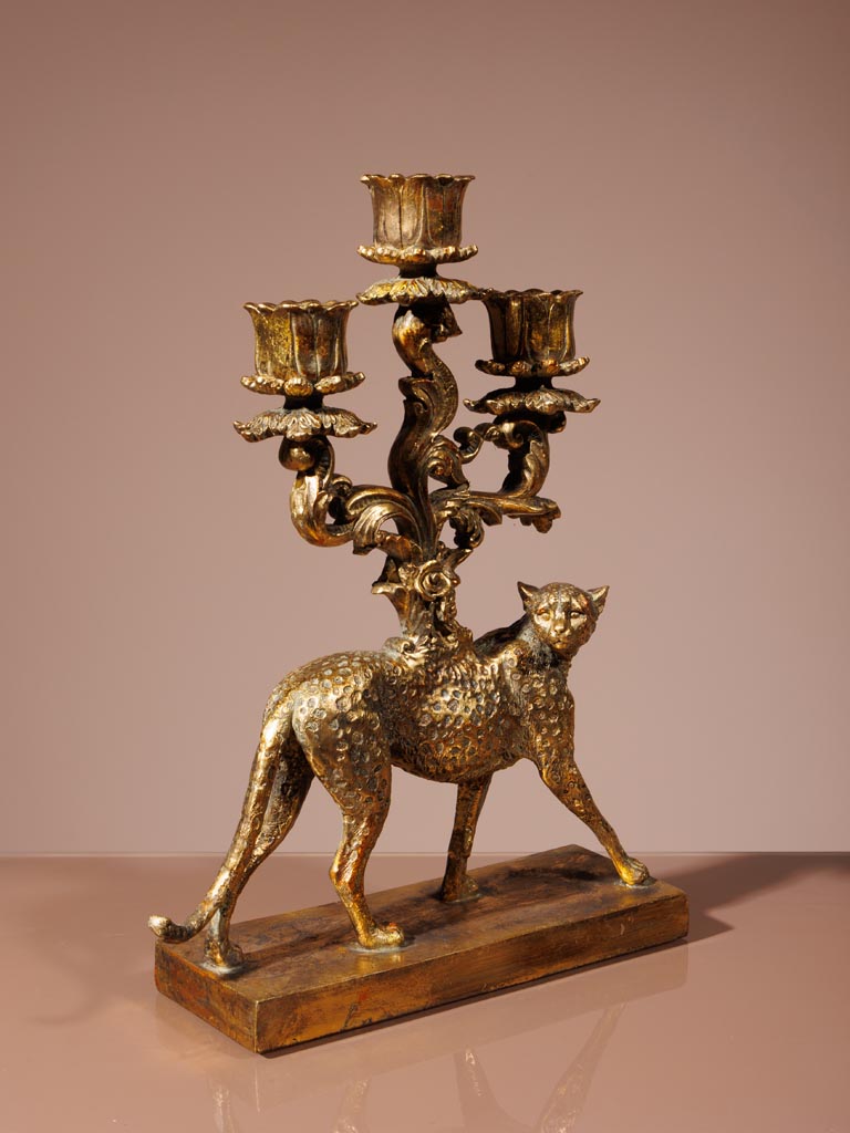 Candelarum golden cheetah - 4