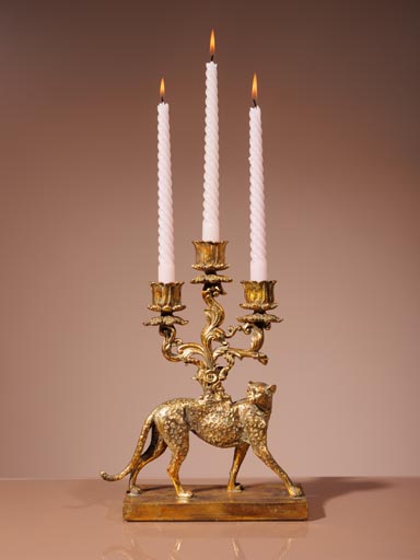 Candelarum golden cheetah