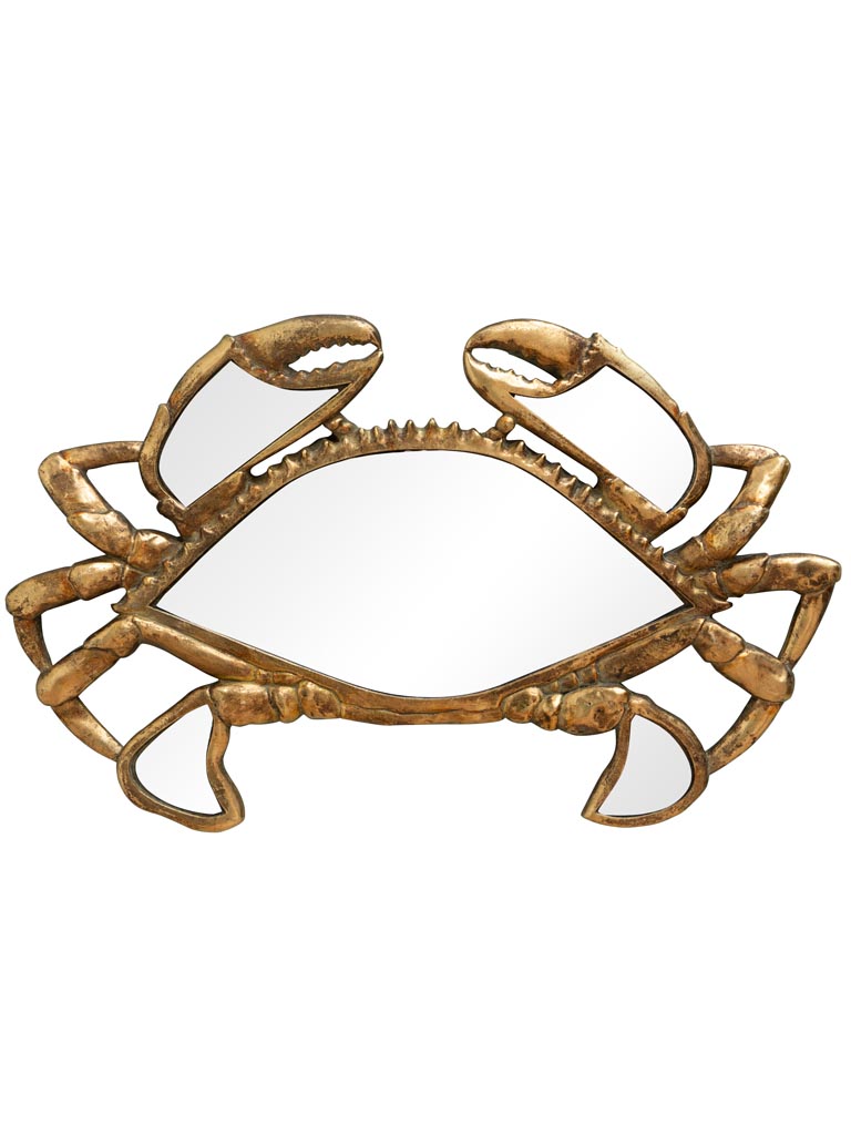 Crabe en miroirs - 2