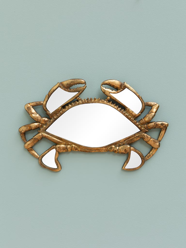 Crabe en miroirs - 1