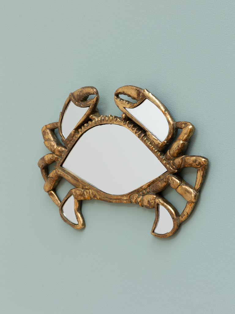 Crabe en miroirs - 3