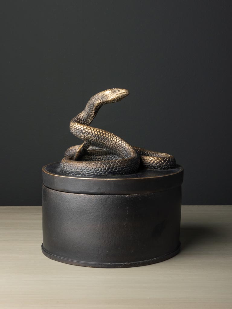 Small round box Vipra - 1