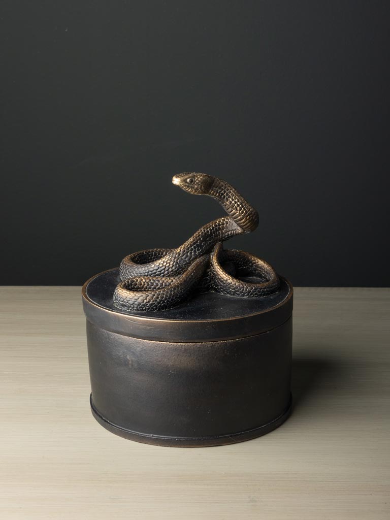 Small round box Vipra - 2