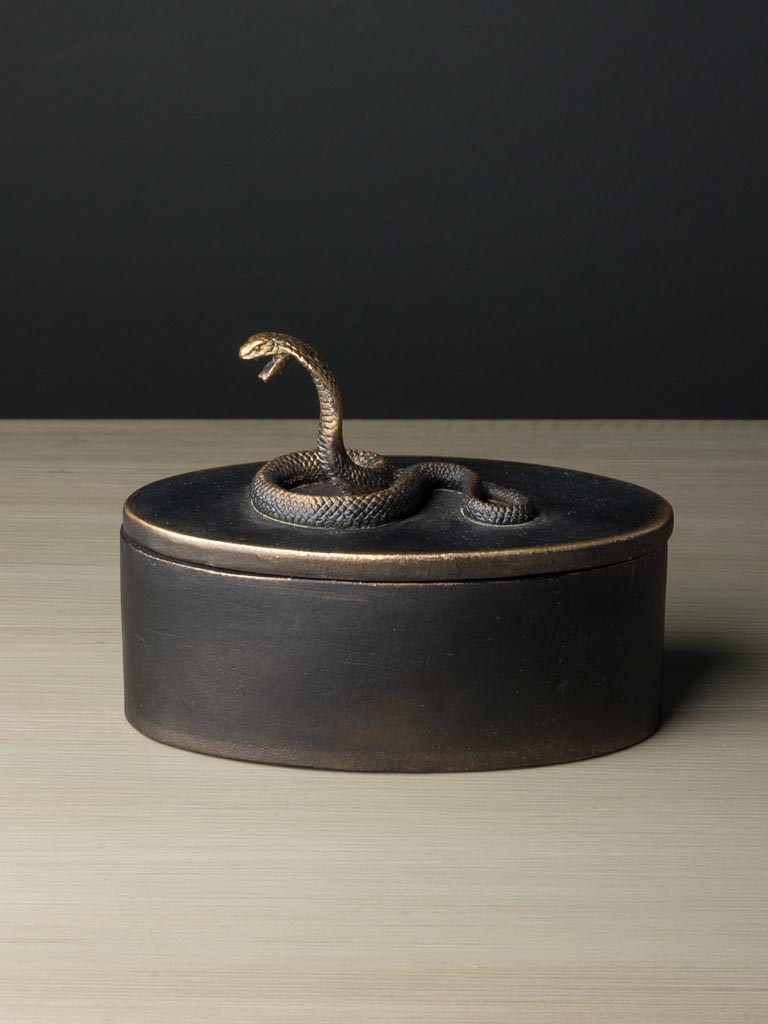 Small oval box Vipra - 1