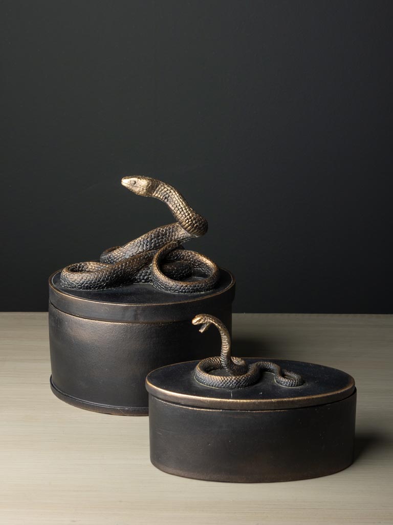 Small oval box Vipra - 6