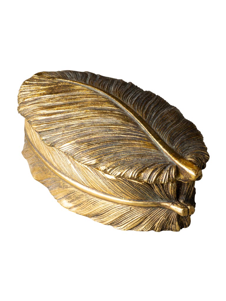 Golden feather box - 2