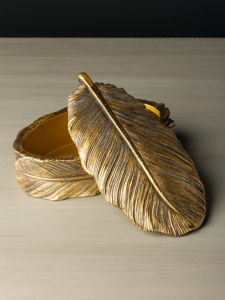Golden feather box - 5