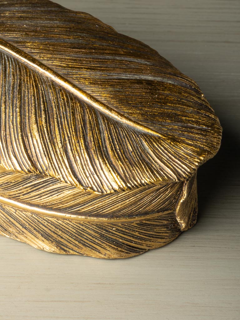 Golden feather box - 6