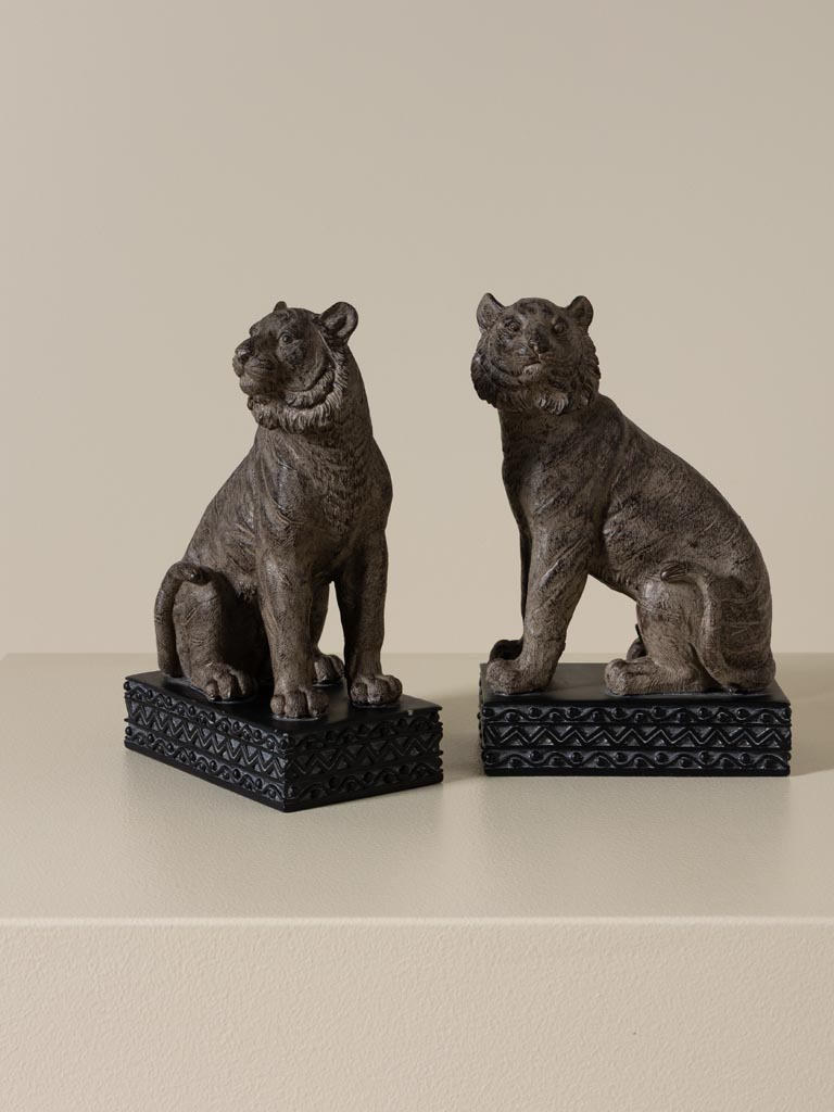 Bookends Jungle - 3