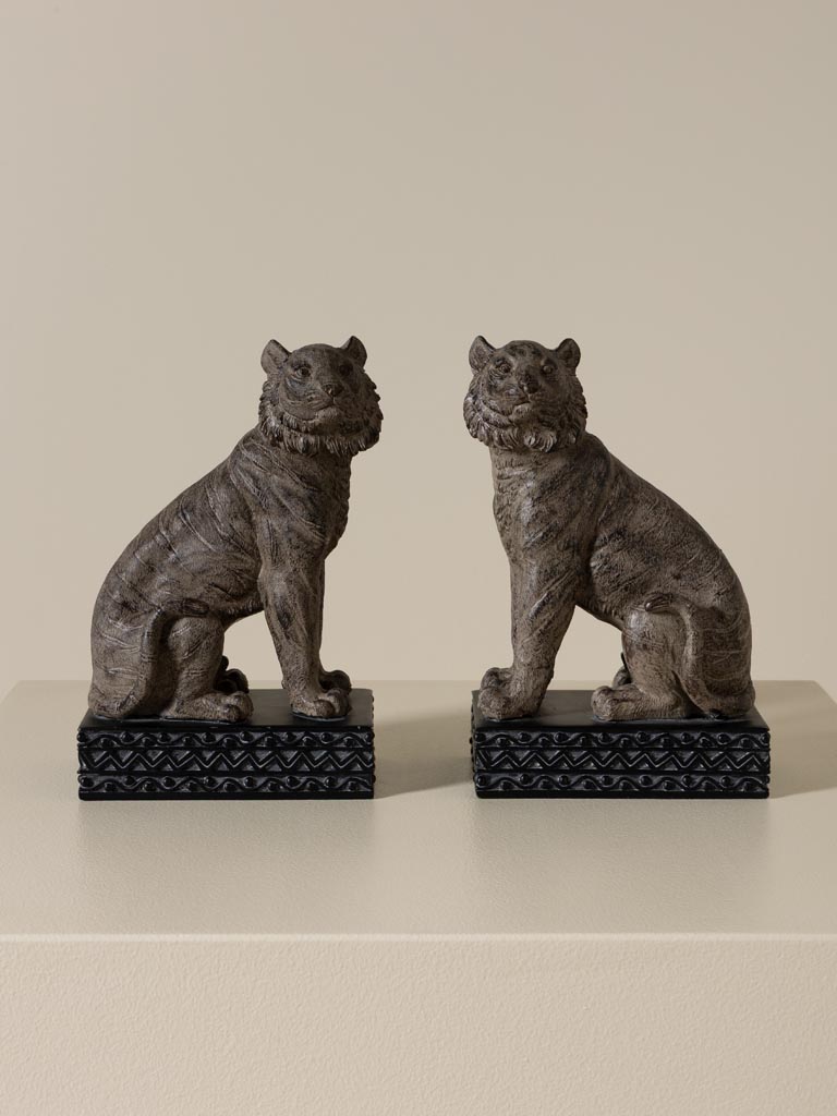 Bookends Jungle - 5