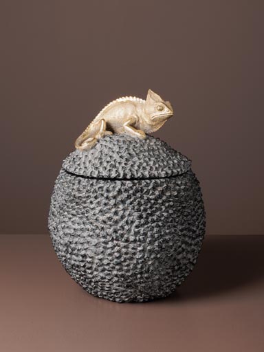 Black box Reptile