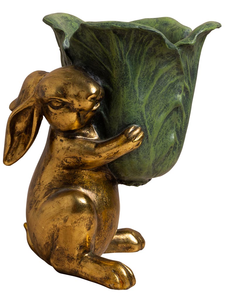 Lapin Botanique - 2