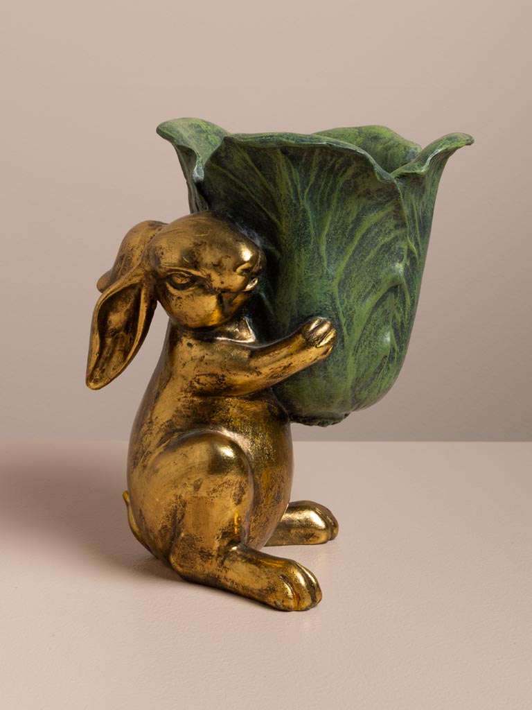 Lapin Botanique - 1