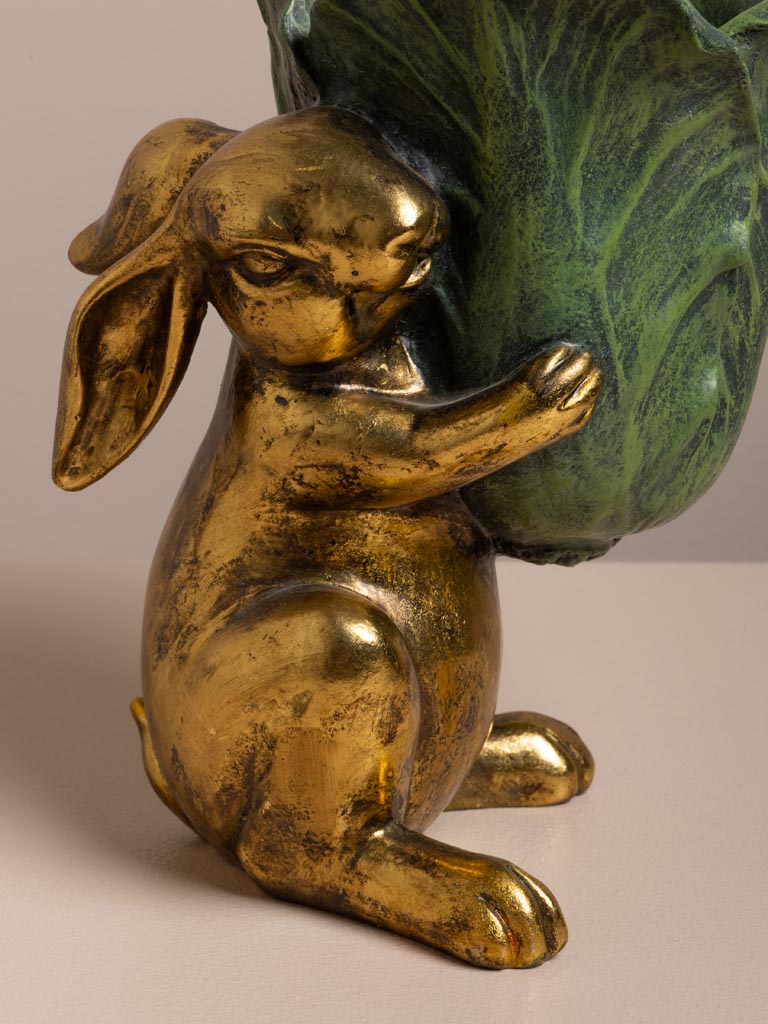 Lapin Botanique - 3