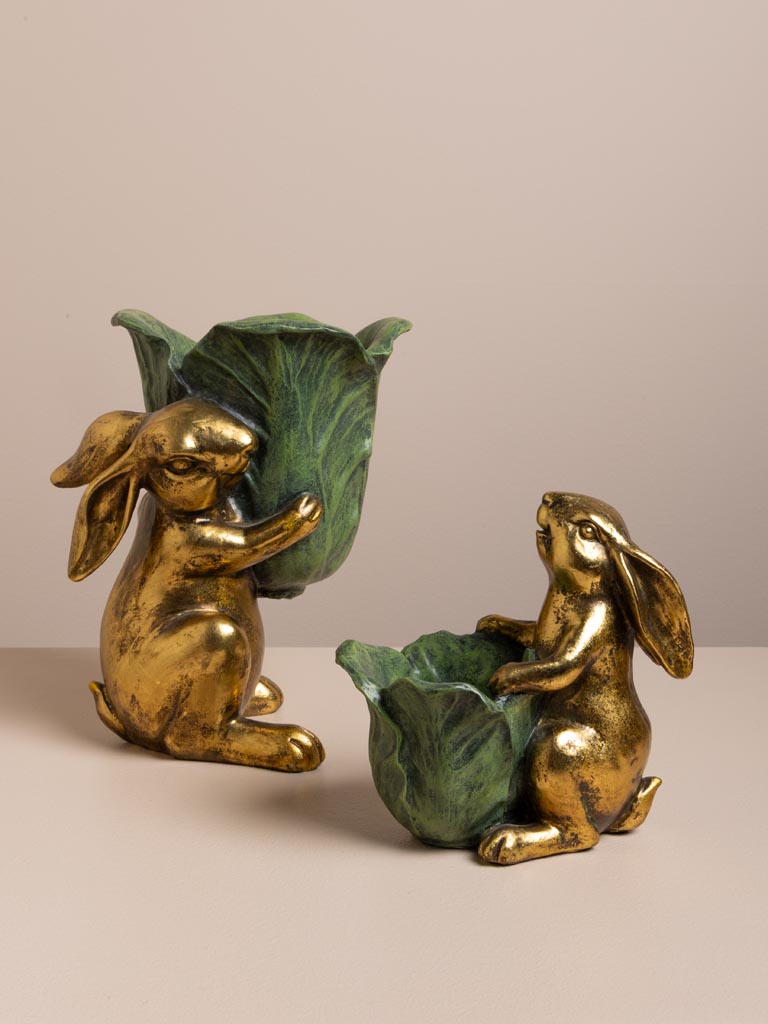 Lapin Botanique - 4