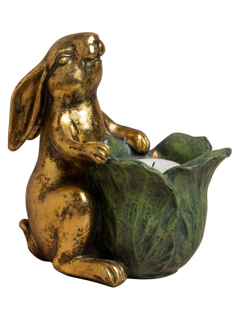 Petit lapin Botanique - 2